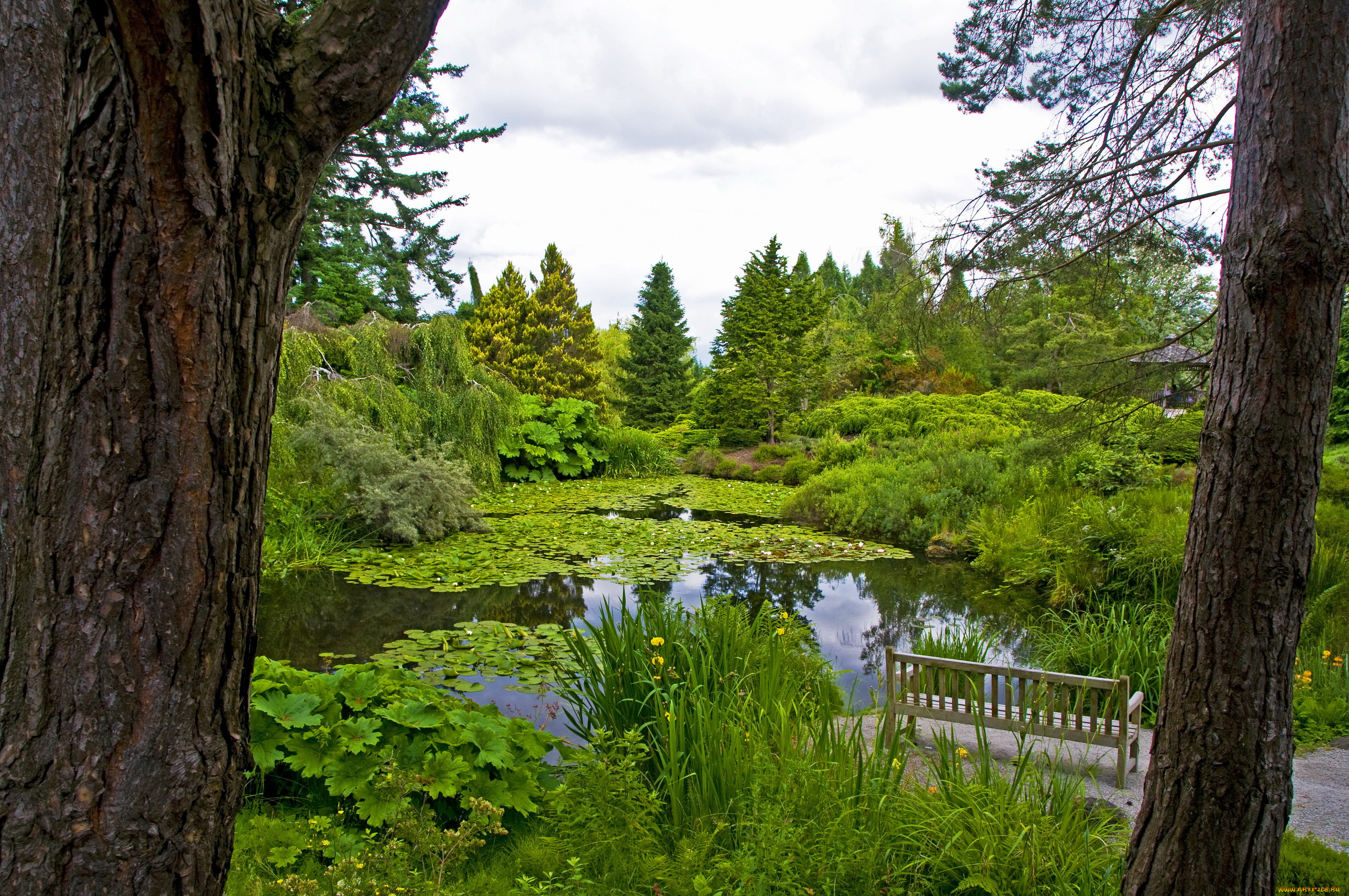 , , , vancouver, vandusen, botanical